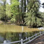 Captura de Tela 2025-11-12 às 22.48.10